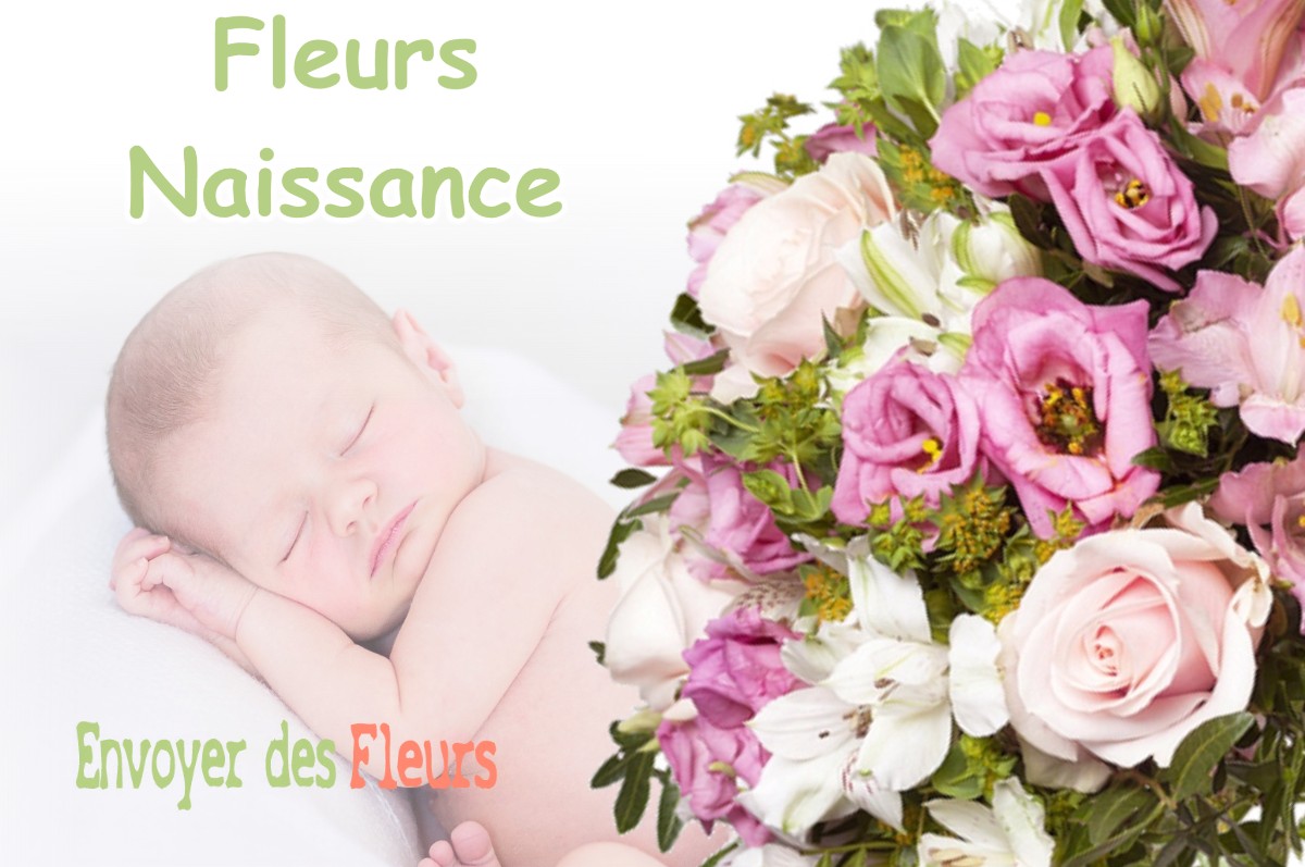 lIVRAISON FLEURS NAISSANCE à ENCAUSSE-LES-THERMES